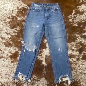 Flying Monkey Distressed Ankle Jeans in Blue
